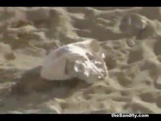 Thesandfly amadora praia stupendous sexo!